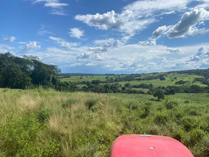 Fazenda em Israelândia/Goiás — Ref 8MVWDL — Imagem 73