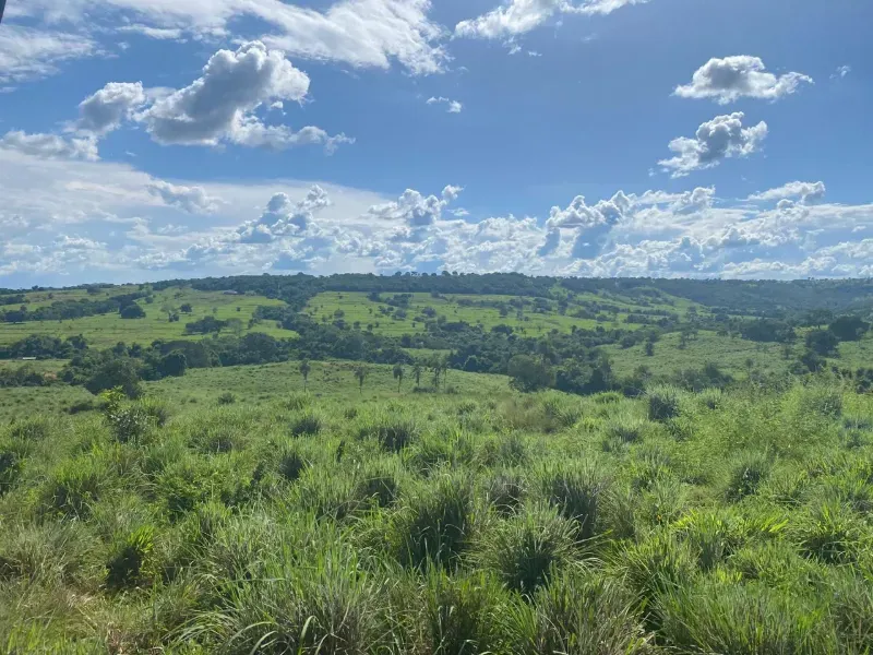 Fazenda em Israelândia/Goiás — Ref 8MVWDL — Imagem 74