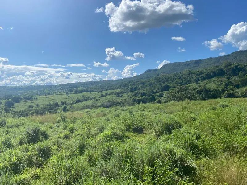 Fazenda em Israelândia/Goiás — Ref 8MVWDL — Imagem 75