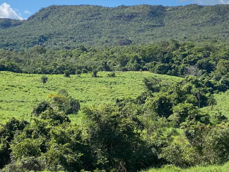 Fazenda em Israelândia/Goiás — Ref 8MVWDL — Imagem 76