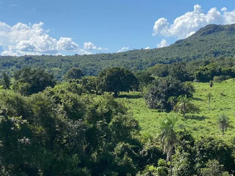 Fazenda em Israelândia/Goiás — Ref 8MVWDL — Imagem 77