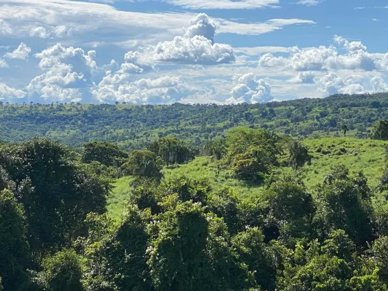 Fazenda em Israelândia/Goiás — Ref 8MVWDL — Imagem 78