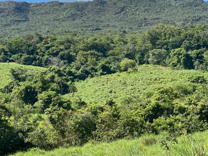 Fazenda em Israelândia/Goiás — Ref 8MVWDL — Imagem 79
