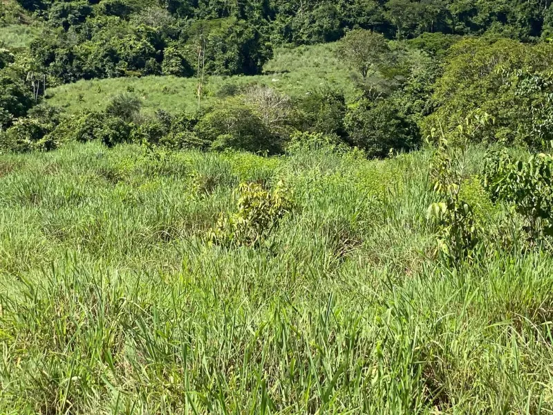 Fazenda em Israelândia/Goiás — Ref 8MVWDL — Imagem 80