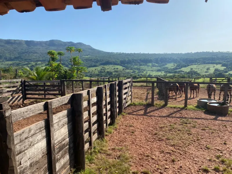 Fazenda em Israelândia/Goiás — Ref 8MVWDL — Imagem 85