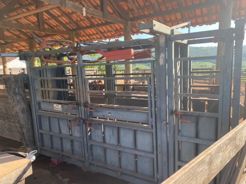 Fazenda em Israelândia/Goiás — Ref 8MVWDL — Imagem 86