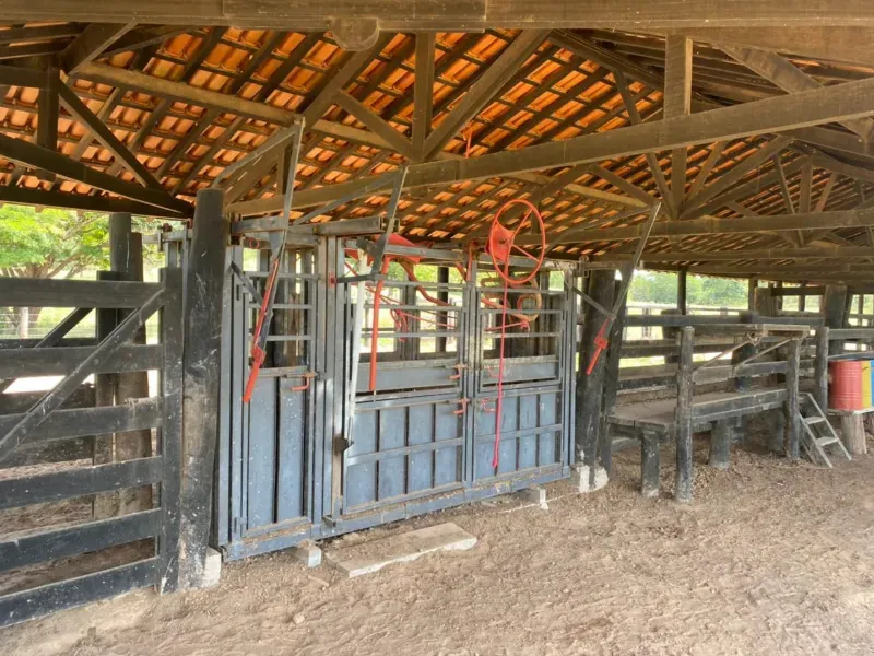 Fazenda em Israelândia/Goiás — Ref 8MVWDL — Imagem 93