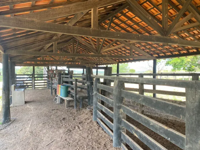 Fazenda em Israelândia/Goiás — Ref 8MVWDL — Imagem 97