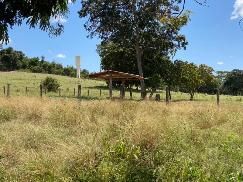 Fazenda em Israelândia/Goiás — Ref 8MVWDL — Imagem 98