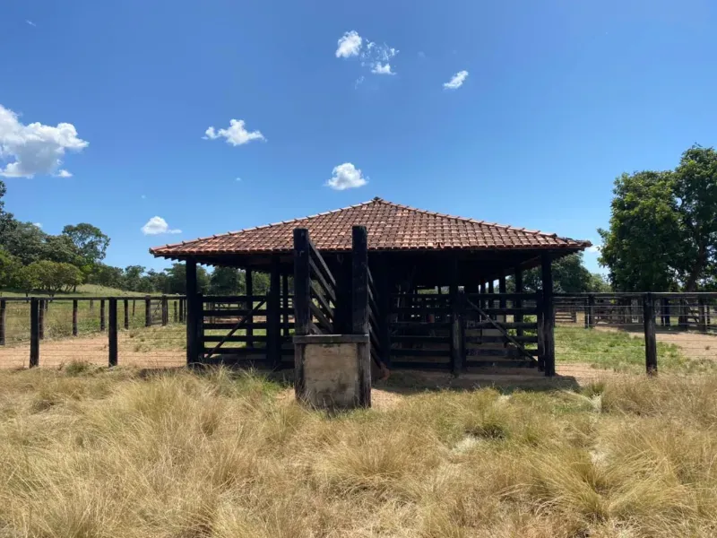 Fazenda em Israelândia/Goiás — Ref 8MVWDL — Imagem 99