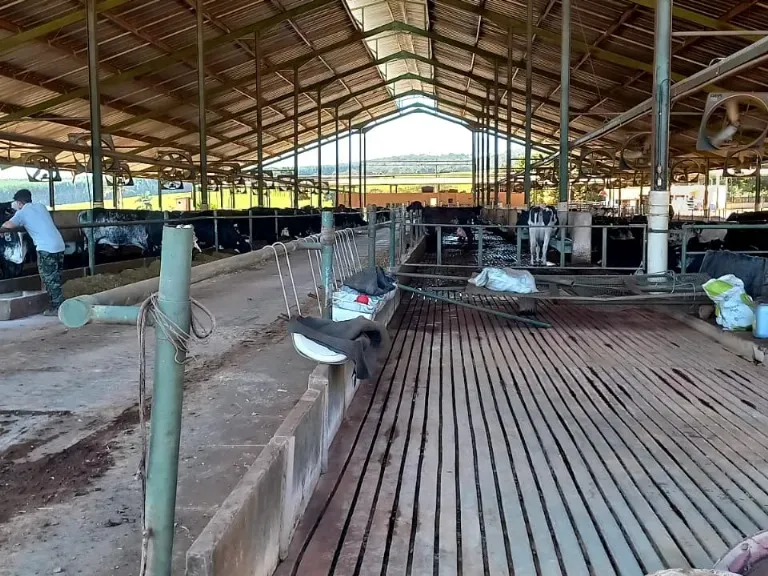 Fazenda em Pompéu/Minas Gerais — Ref ZJRBLY — Imagem 8