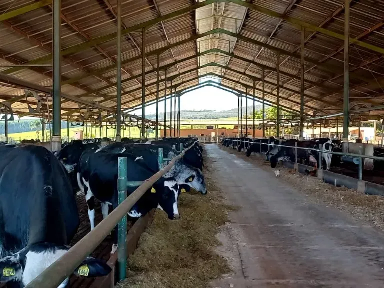 Fazenda em Pompéu/Minas Gerais — Ref ZJRBLY — Imagem 4