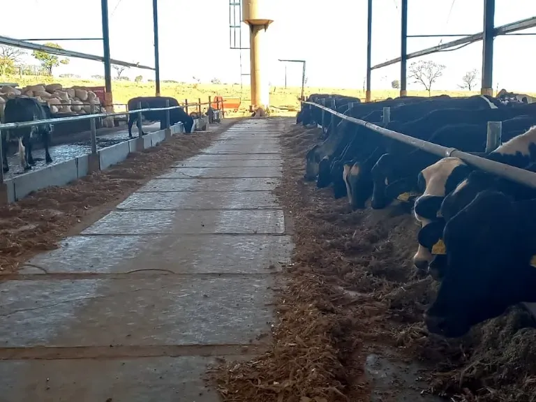 Fazenda em Pompéu/Minas Gerais — Ref ZJRBLY — Imagem 7