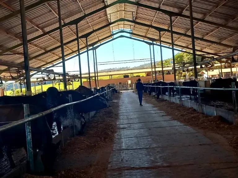 Fazenda em Pompéu/Minas Gerais — Ref ZJRBLY — Imagem 5