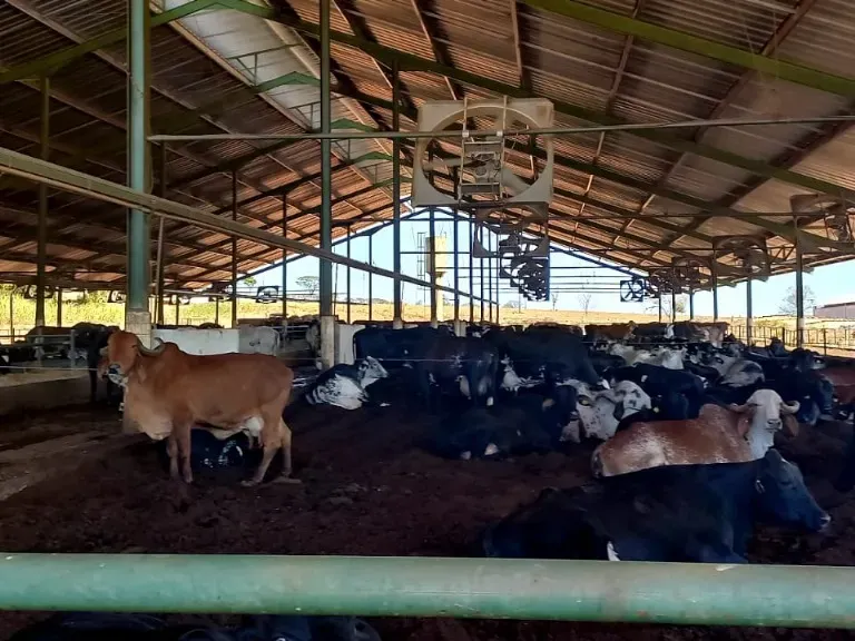 Fazenda em Pompéu/Minas Gerais — Ref ZJRBLY — Imagem 6
