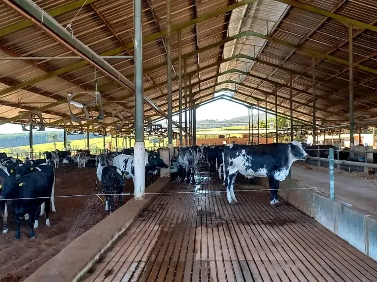 Fazenda em Pompéu/Minas Gerais — Ref ZJRBLY — Imagem 3