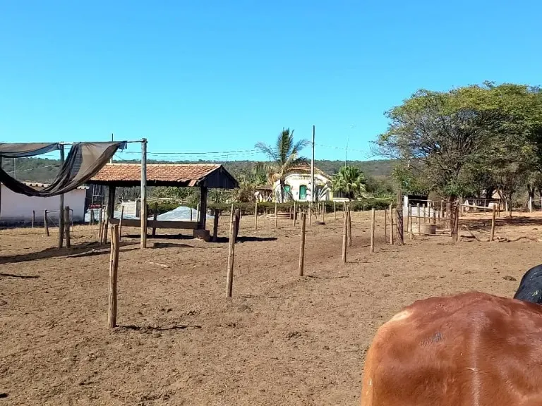 Fazenda em Pompéu/Minas Gerais — Ref ZJRBLY — Imagem 14
