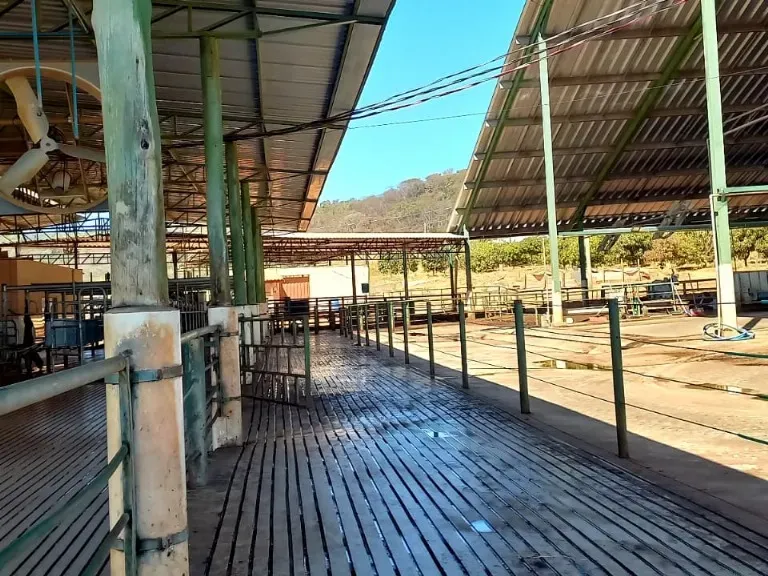 Fazenda em Pompéu/Minas Gerais — Ref ZJRBLY — Imagem 16