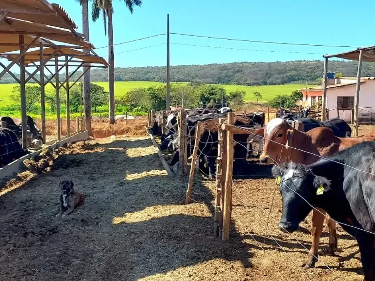 Fazenda em Pompéu/Minas Gerais — Ref ZJRBLY — Imagem 9