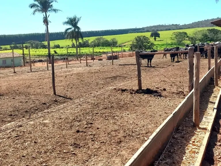 Fazenda em Pompéu/Minas Gerais — Ref ZJRBLY — Imagem 10