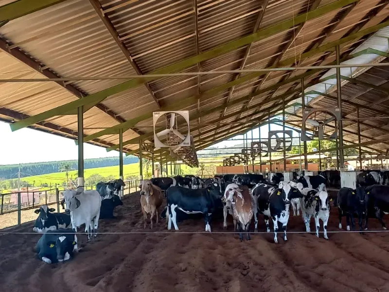 Fazenda em Pompéu/Minas Gerais — Ref ZJRBLY — Imagem 2