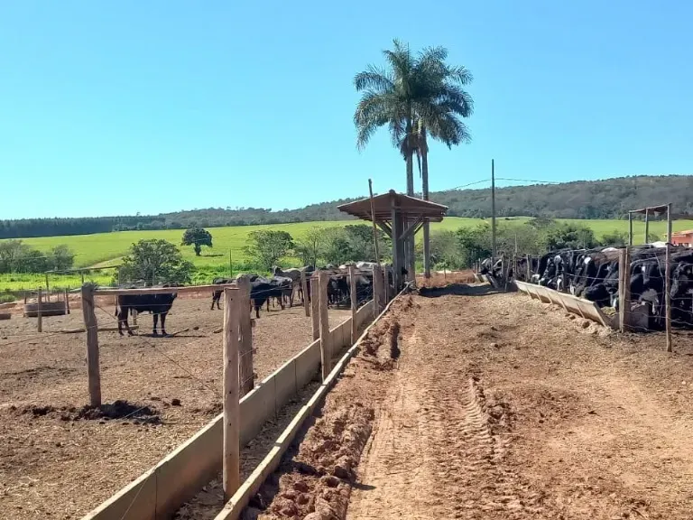 Fazenda em Pompéu/Minas Gerais — Ref ZJRBLY — Imagem 1