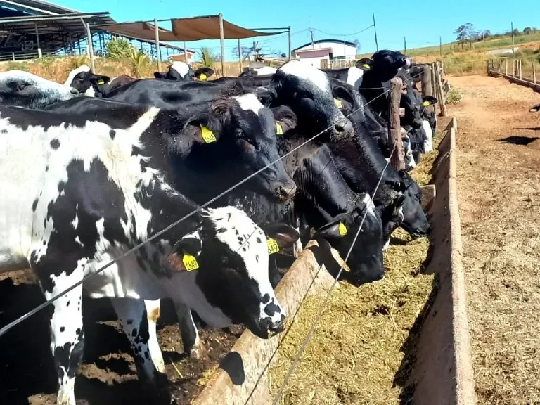 Fazenda em Pompéu/Minas Gerais — Ref ZJRBLY — Imagem 11