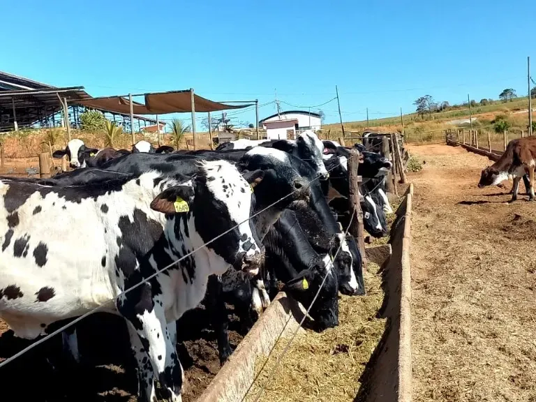 Fazenda em Pompéu/Minas Gerais — Ref ZJRBLY — Imagem 12