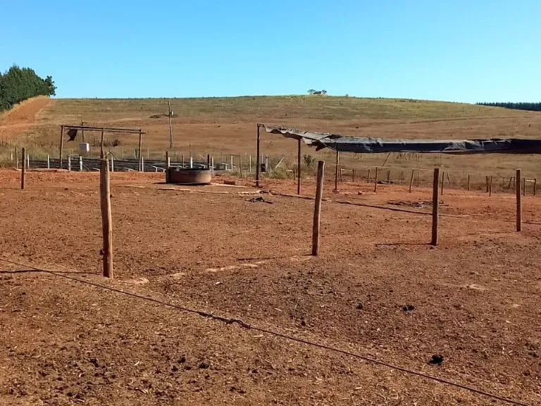 Fazenda em Pompéu/Minas Gerais — Ref ZJRBLY — Imagem 27