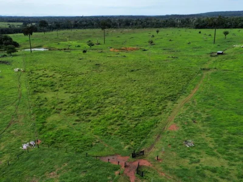 Fazenda em Juara/Mato Grosso — Ref J3QALM — Imagem 5