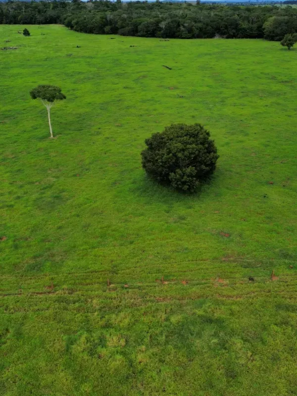 Fazenda em Juara/Mato Grosso — Ref J3QALM — Imagem 8