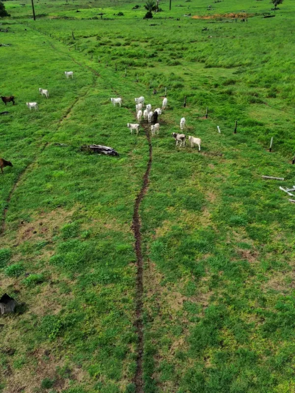 Fazenda em Juara/Mato Grosso — Ref J3QALM — Imagem 9