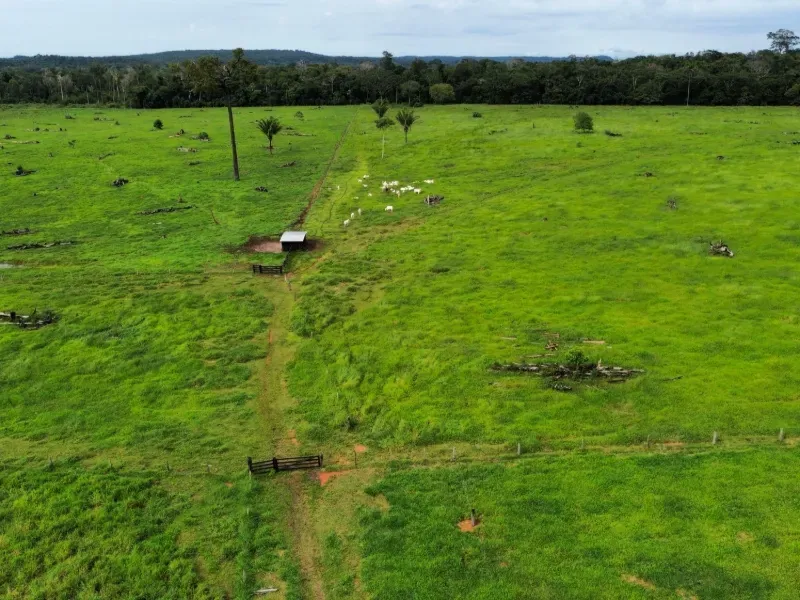Fazenda em Juara/Mato Grosso — Ref J3QALM — Imagem 10