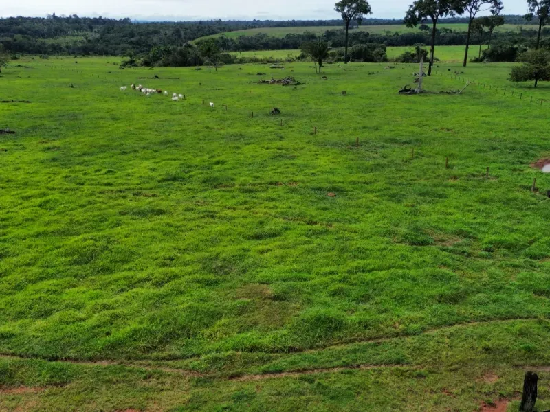 Fazenda em Juara/Mato Grosso — Ref J3QALM — Imagem 11
