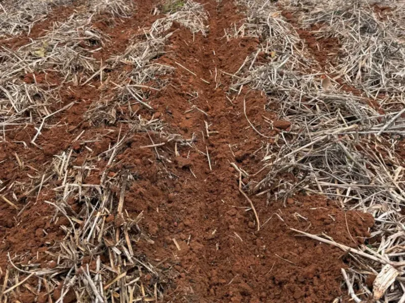 Fazenda em Pirapora/Minas Gerais — Ref HEI6D0 — Imagem 13