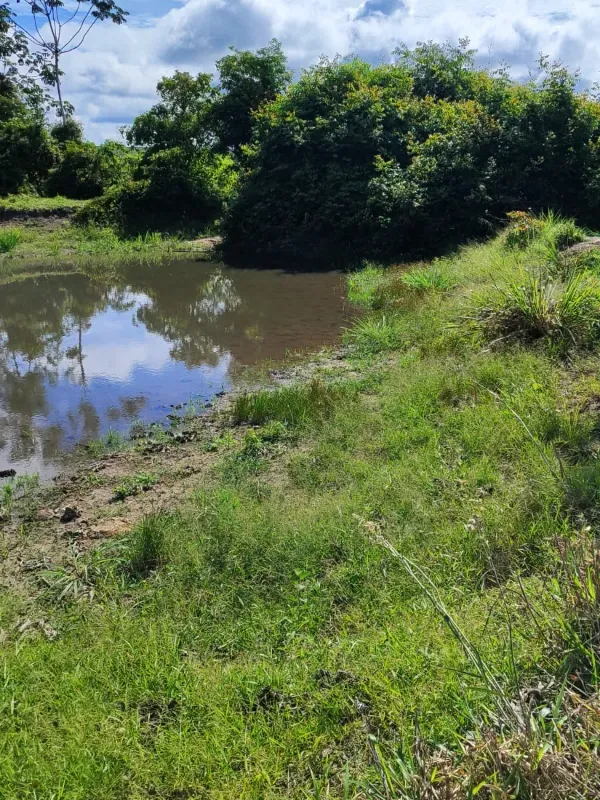 Sítio em Tabaporã/Mato Grosso — Ref 31W437 — Imagem 6
