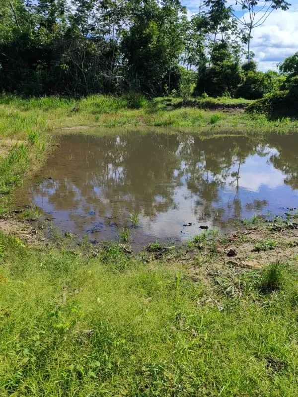 Sítio em Tabaporã/Mato Grosso — Ref 31W437 — Imagem 7