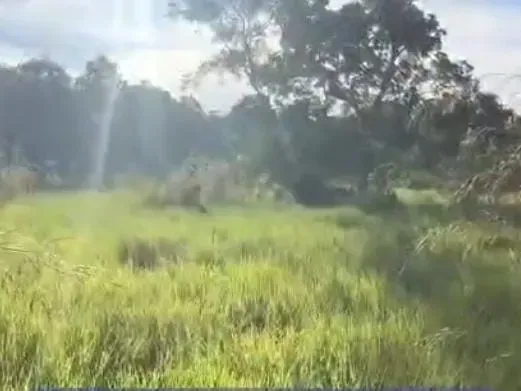 Fazenda em Santo Antônio de Leverger/Mato Grosso — Ref SOB0J0 — Imagem 11