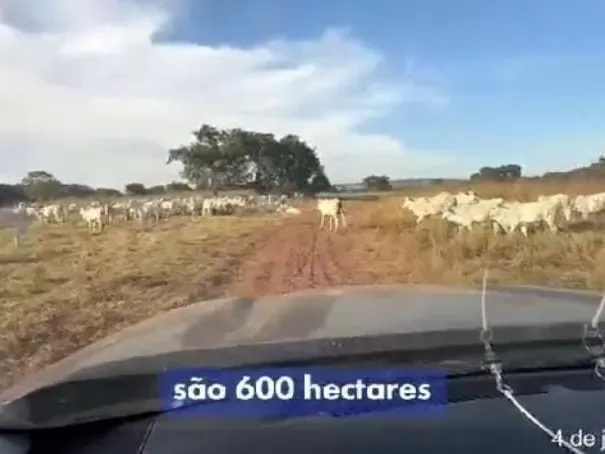 Fazenda em Santo Antônio de Leverger/Mato Grosso — Ref SOB0J0 — Imagem 13