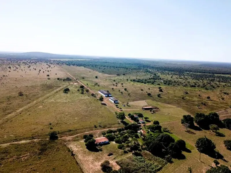 Fazenda em São Félix do Araguaia/Mato Grosso — Ref SASUS9 — Imagem 2