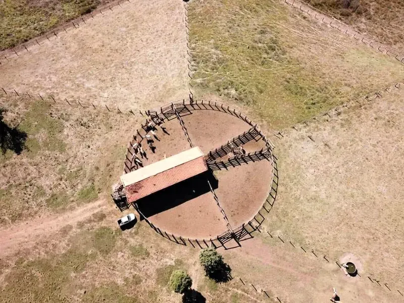 Fazenda em São Félix do Araguaia/Mato Grosso — Ref SASUS9 — Imagem 8