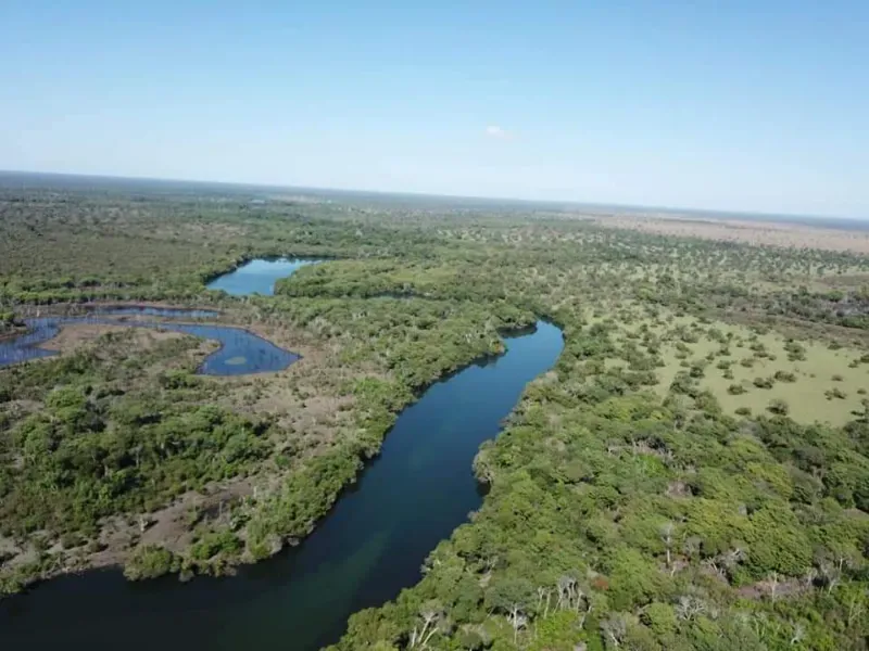 Fazenda em São Félix do Araguaia/Mato Grosso — Ref SASUS9 — Imagem 13