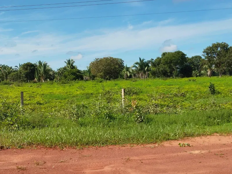 Fazenda em São Félix do Araguaia/Mato Grosso — Ref SASUS9 — Imagem 18