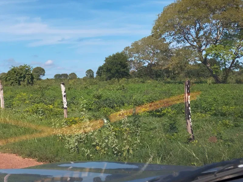 Fazenda em São Félix do Araguaia/Mato Grosso — Ref SASUS9 — Imagem 20