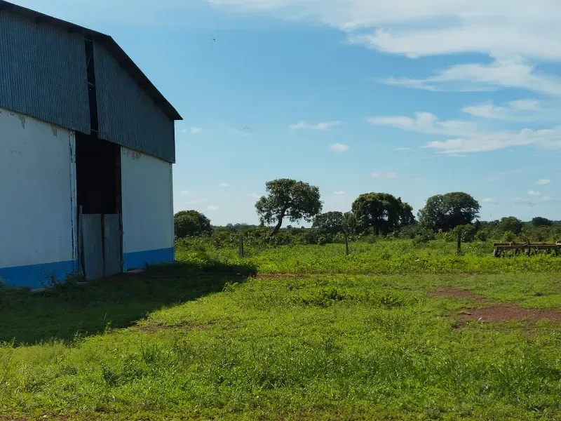 Fazenda em São Félix do Araguaia/Mato Grosso — Ref SASUS9 — Imagem 30