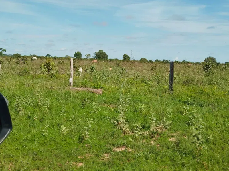 Fazenda em São Félix do Araguaia/Mato Grosso — Ref SASUS9 — Imagem 33