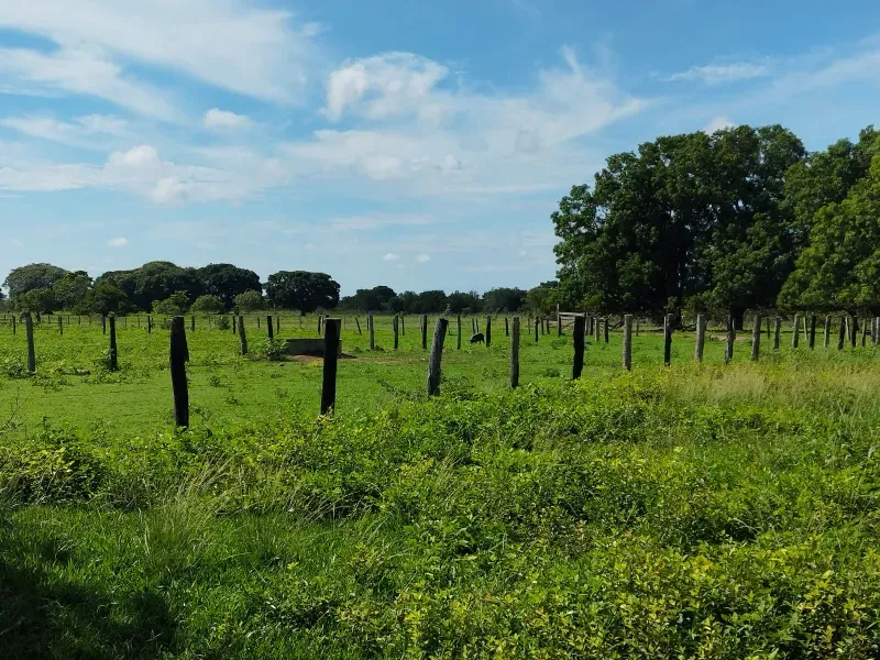 Fazenda em São Félix do Araguaia/Mato Grosso — Ref SASUS9 — Imagem 36