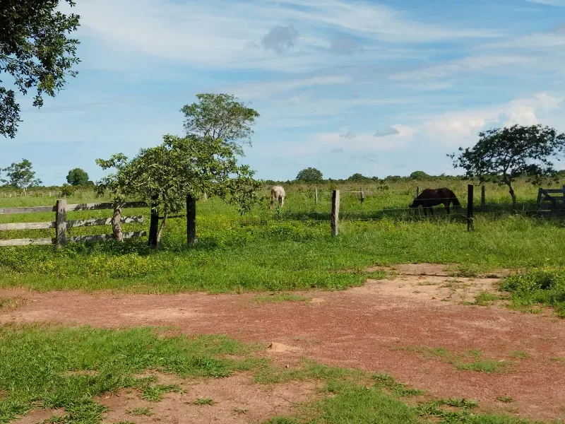Fazenda em São Félix do Araguaia/Mato Grosso — Ref SASUS9 — Imagem 39