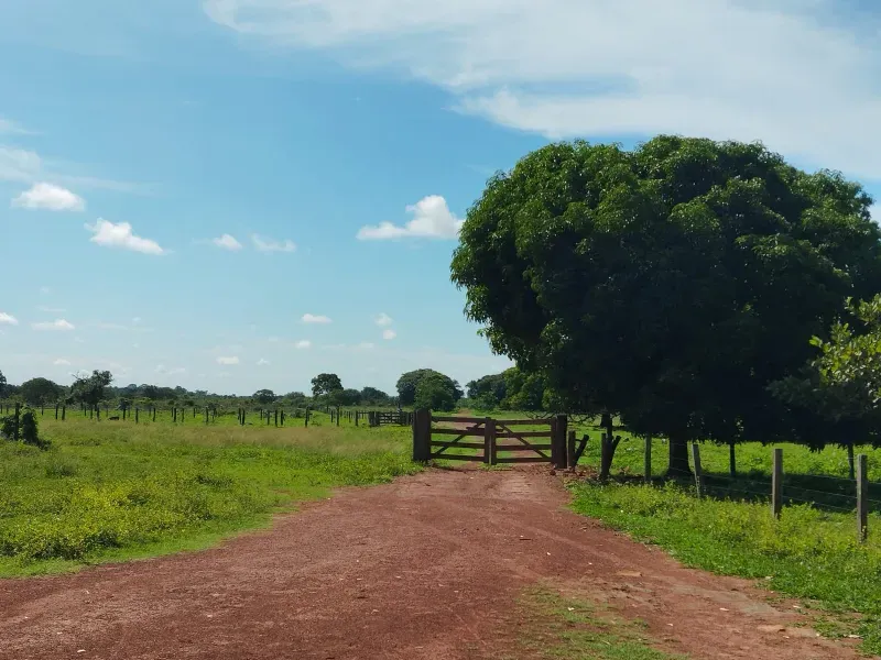 Fazenda em São Félix do Araguaia/Mato Grosso — Ref SASUS9 — Imagem 42