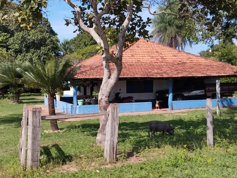 Fazenda em São Félix do Araguaia/Mato Grosso — Ref SASUS9 — Imagem 43